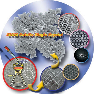 仿生材料合成領(lǐng)域研究新進展